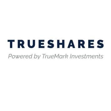 Portrait of TrueMark Investments